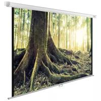 Рулонный матовый белый экран cactus WallExpert CS-PSWE-220x220-WT, 110