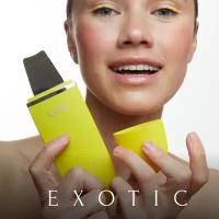 GESS Аппарат для ультразвуковой чистки лица GESS Exotic, ультразвуковая чистка лица, лифтинг для лица, аппарат от черных точек, пилинг для лица, фонофорез, 1 насадка