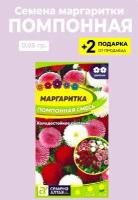 Семена цветов Маргаритка 