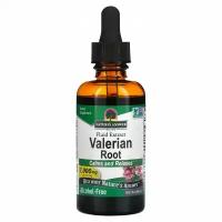 Nature' s Answer, Valerian, Fluid Extract, Alcohol-Free, 1,000 mg, 2 fl oz (60 ml)