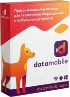 DataMobile, версия Online Lite - LifeTime