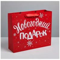 Пакет «Новогодний подарок», ML 23 × 27 × 11,5 см (1шт.)