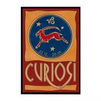 Пазл Curiosi Stella Знаки зодиака - Козерог (C540)