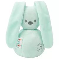 Игрушка мягкая Nattou Musical Soft toy Lapidou Кролик mint музыкальная 878791