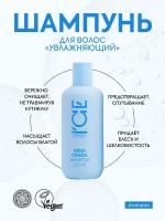 Шампунь для волос увлажняющий Aqua Cruch ICE by Natura Siberica take it home 250 мл