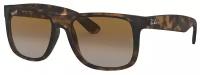 Солнцезащитные очки Ray-Ban мужские 4165 865/T5 55