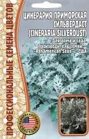 Цинерария приморская Сильвердаст. Для дома и сада, многолетник ( 1 уп: 30 семян )