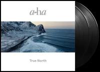 Виниловая пластинка a-Ha. True North (2 LP)