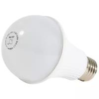 Лампа аварийного освещения SKAT LED-220 E27 АКБ Li-ion 5W, 6000K, 350Lm, 3 ч