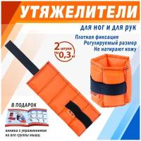 Утяжелители V76 PROF-S 2х0,3 кг