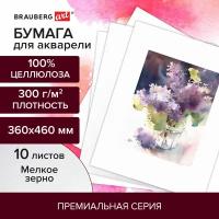 Бумага для акварели 300 г/м2 360x460 мм мелкое зерно, 10 листов, BRAUBERG ART PREMIERE, 113227