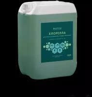 Суспензия хлореллы средство для очистки водоемов и прудов BIOSTYLE 10 литров (Chlorella vulgaris 100%)