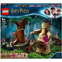 Конструктор LEGO Harry Potter 75967 Запретный лес: Грохх и Долорес Амбридж