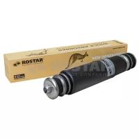 Амортизатор задний Rostar 180-2905004-060 для MAN 362