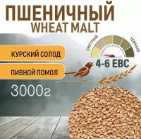 Солод пшеничный wheat ЕВС 4-6 (Курский солод) 3 КГ c помолом