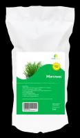 Семена мятлик, 1 кг/ Газон / Семена газона / Газонная трава / мятлик / трава для газона Агро-Рост