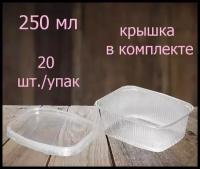 Контейнер пластиковый для пищевых продуктов 108,3*82,2*50мм - 250 мл, 20 шт