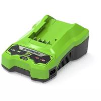 Зарядное устройство Greenworks G24C, 24V