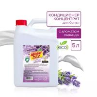 Кондиционер-концентрат для белья Mister DEZ Eco-Cleaning PROFESSIONAL 