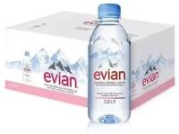 Вода минеральная природная столовая питьевая Evian негазированная, ПЭТ, 24 шт. по 0.33 л