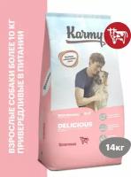 Сухой корм Karmy Delicious Medium & Maxi для собак, привередливых в питании Телятина 14кг