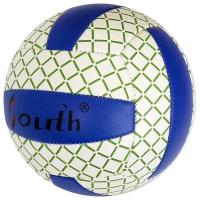 Мяч волейбольный E33542-1 синий
