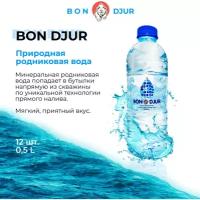 Природная, родниковая, питьевая вода Бон Джур 0,5 л. (в упаковке 12 шт.)