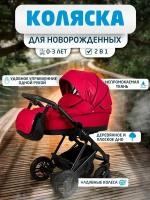 Beatrice sport 2 в 1