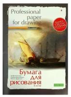 Папка для рисования А3, 8 листов Профессиональная серия, блок 150 г/м2, гознак, в ассортименте, 1 шт