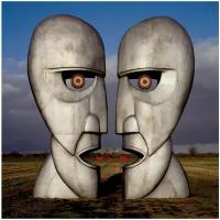 Виниловая пластинка Pink Floyd. The Division Bell (2 LP)