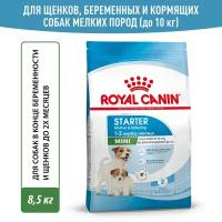 Корм для щенков Royal Canin Мини Стартер, 8,5кг малых пород до 2-х месяцев