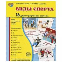 Сфера/НабКарт/ПозРечРазвитие/Виды спорта. 16 демонстрационных картинок с текстом на обороте. 174 х 220/