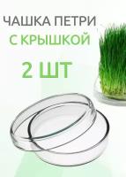 Чашка Петри стеклянная 100х20 мм, 2 шт/упак. с крышками