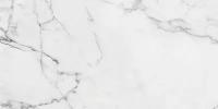 Marble Trend Керамогранит K-1000/MR/30x60 Carrara