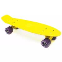 Пенни Борд Fish Skateboards 22