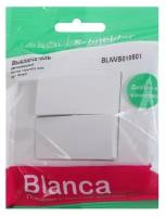 Выключатель с рамкой Systeme Electric Blanca BLNVS010501 двухклавишный скрытая установка белый