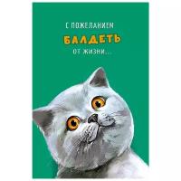 Набор открыток Арт & Дизайн С пожеланием балдеть от жизни (0480.210), 5 шт