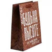 Пакет подарочный Сима-ленд Не чувствуй преград, 30х26 см