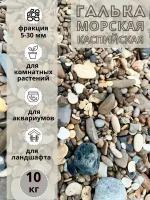 Галька морская каспийская 5-30мм (10кг) Грунт для аквариума/террариума