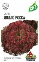 Семена Удачные семена, Салат Лолло Росса, 0,5 грамма, листовой, бордовый