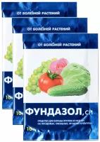 Фундазол, СП фунгицид средство для борьбы против болезней на плодовых, овощных, ягодных культурах, 3 Упаковки по 10г