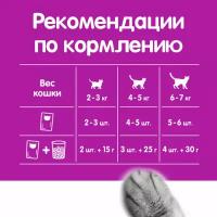 Whiskas пауч для кошек (рагу) Форель и лосось