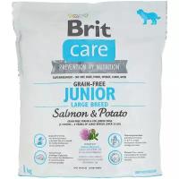 Сухой корм для молодых собак Brit Care беззерновой, лосось, с картофелем (для крупных пород)