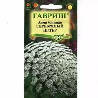 Амми серебряный шатёр/ Ammi majus L. для пышности клумбам ( 1 уп: 0,1 г )