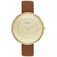 Наручные часы Skagen SKW2138