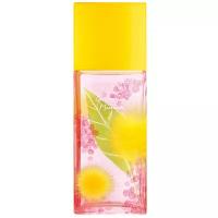 Elizabeth Arden Женский Green Tea Mimosa Туалетная вода (edt) 100мл