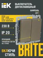 Выключатель IEK BR-V22-0-10 BRITE, 10 А