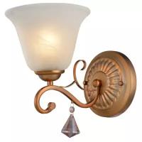 Настенный светильник Arte Lamp Conis A8391AP-1PB