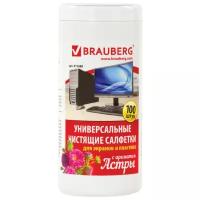 Салфетки для экранов всех типов и пластика Brauberg с ароматом Астра, в тубе 100 шт., влажные, 511689