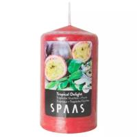 Свеча Spaas Tropical Delight столбик